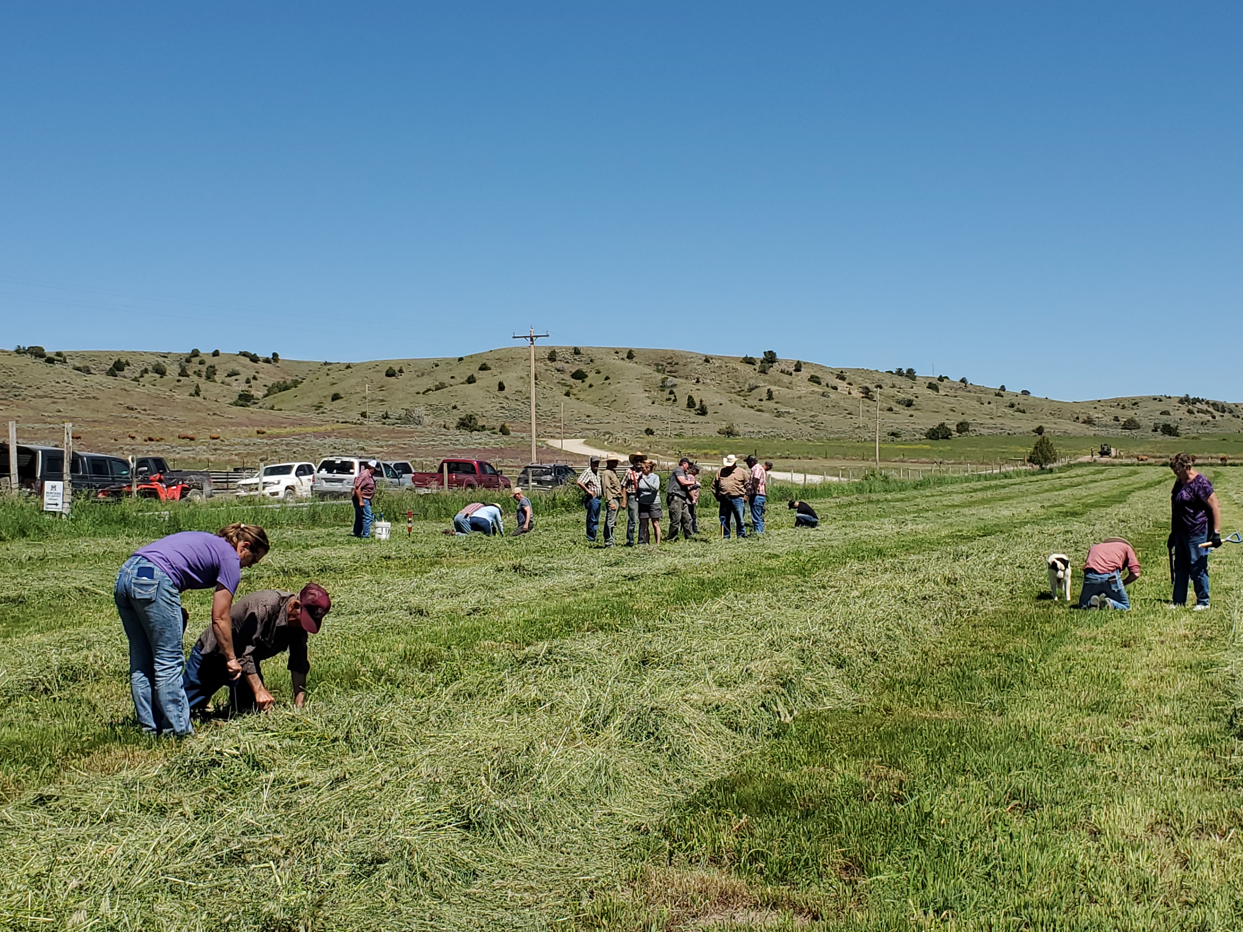 Field activities during the 2024 Vertebrate Pest Workshop in Broadwater County.